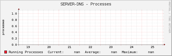 SERVER-DNS - Processes