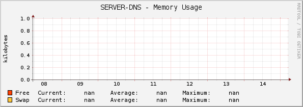 SERVER-DNS - Memory Usage