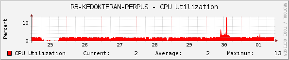 RB-KEDOKTERAN-PERPUS - CPU Utilization
