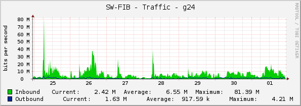 SW-FIB - Traffic - g24